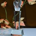 Unique Crystal Achievement Award