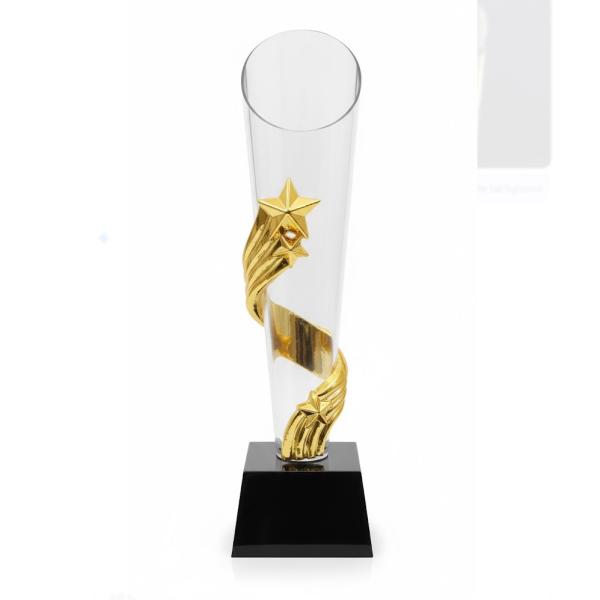 Stellar Achievement Award