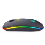 LED Lightup Logo Wireless Mouse