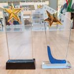 Dynamic Blue-Curve Star Achievement Award – 24cm