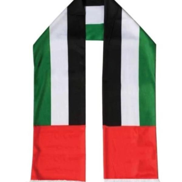 UAE Flag Satin Scarfs