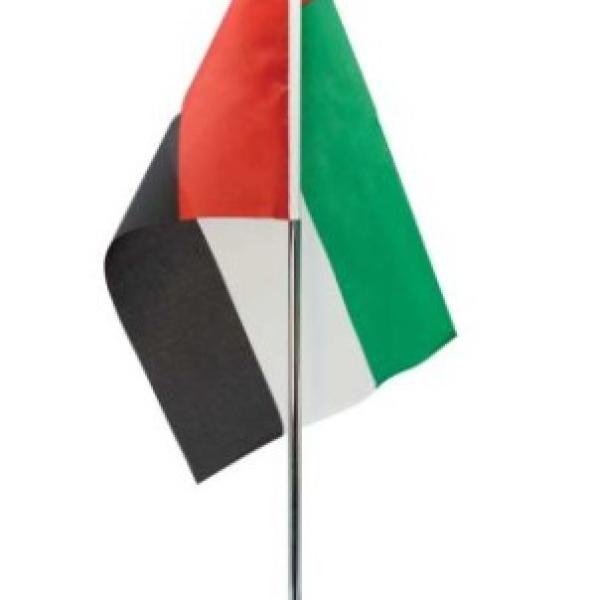 UAE Flags Ready Item