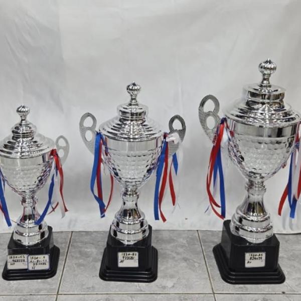 Silver Championship Trophy Set – 3 Piece Award Collection