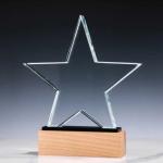 Star shape crystal award with wooden base