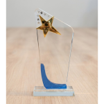 Dynamic Blue-Curve Star Achievement Award – 24cm