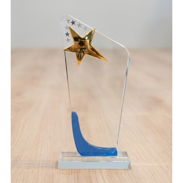 Dynamic Blue-Curve Star Achievement Award – 24cm