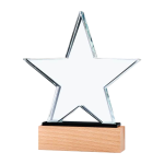 Star shape crystal award with wooden base