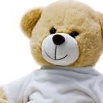Promotional Teddy bear