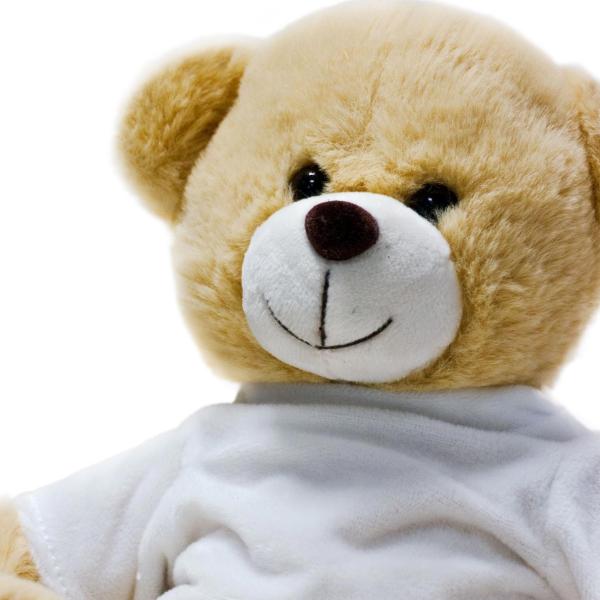 Promotional Teddy bear
