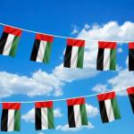 UAE String Flags and Flag Bunting 32Pcs