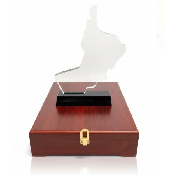 Custom Crystal UAE Map Award