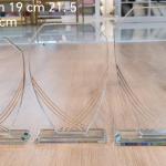 Apex Crystal Shield Award