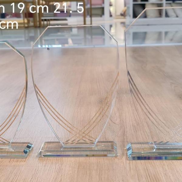 Apex Crystal Shield Award