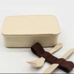 Wheat Straw Lunch Box