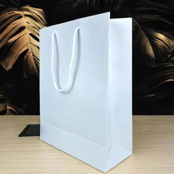 White Readymade Paper Bag with custom Screen Print
