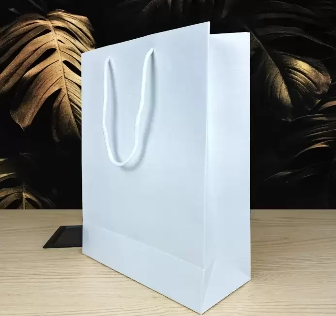 Readymade Paper Bag with custom Screen Print