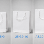 Readymade Paper Bag with custom Screen Print