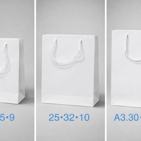 Readymade Paper Bag with custom Screen Print