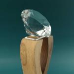 Excellence Award Trophy